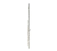 Professional Flute for Adults 16 Hole C Tuned Flute With Open/closed Holes And E Key