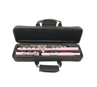 Professional Flute for Adults 16 Hole Closed Hole C Major Flute With E Key