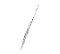 Professional Flute for Adults 16 Hole Closed Hole C Major Professional Adult Flute