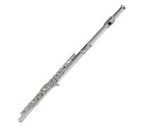 Professional Flute for Adults 16 Hole Closed Hole Flute In C Major With E Key
