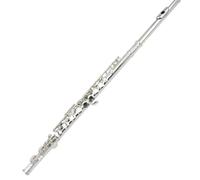 Professional Flute for Adults 16 Hole E Key Flute A Beginner's Instrument