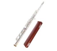 Professional Flute for Adults 17 Hole Flute For Beginners And Professional Players In The Key Of C