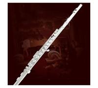 Professional Flute Silver Plated Good Flute Instrument Beginners 16 Hole Closed Hole C Key E Key