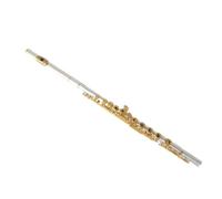 Professional Flute Silver Solid C Flute Instrument 16 Open And Close Dual Purpose Professional Performance