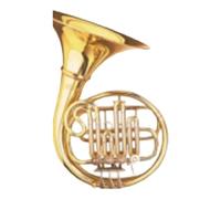 Professional French Horn French Horn B Flat Major Beginner And Professional Instrument