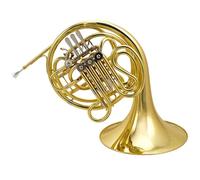 Professional French Horn French Horn Band Playing B Flat Performance Teaching