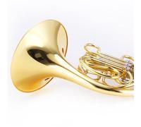 Professional French Horn Professional Performance Practice Horn In B Flat Major