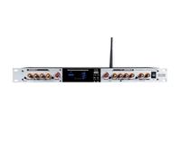 Professional Front-Level Exciter, Stereo Audio Processor with Independent Excitation, Multi-Channel Mic, Bluetooth, for Stage KTV, 1U Rack, 20Hz-20KHz, >93dB SNR silver