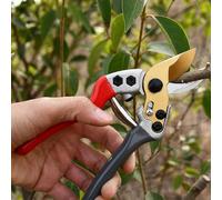 Professional Garden Secateurs Pruning Shears: 25mm Cutting Capacity Garden Tools with Sharp SK-5 Steel Blade & Anti-Slip Handle - Heavy Duty Scissors for Plants, Hedges, and Flowers
