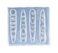 Professional Grade Silicone Nails Art Templates Flower Bowknot Molds Nails Art Mold for Resin Jewelry Making Supplies Flower Nail Supplies