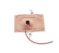 Professional Gunshot Wound (GSW) Task Trainer - Realistic Silicone Wound Packing Model for Hemorrhage Control, Stop The Bleed & TCCC Training, Medical Simulation Kit for First Responders & EMS