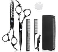 Professional Hair Cutting Set - 6pcs Barber Kit with Thinning Shears, Combs & Case (Black)