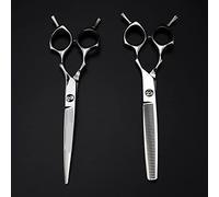 Professional Hair Cutting Shears, 6.5 Inch Professional Japan 440c Steel Cut Scissor Silver Hair Scissors Cutting Barber Haircut Thinning Shears Hairdresser Scissors (Color : Set) (Set)