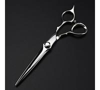 Professional Hair Cutting Shears, 6.5 inch Professional Japan 440c Steel Scissor Silver Hair Scissors Haircut thinning Barber Cutting Shears Hairdressing Scissors (Color : Set) (Silver)
