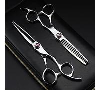 Professional Hair Cutting Shears, 6 Inch Professional Japan 440c Steel Scissor Gem Hair Scissors Haircut Thinning Barber Hair Cutting Shears Hairdresser Scissors (Color : Set) (Set with Bag)