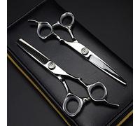 Professional Hair Cutting Shears, 6 Inch Professional Japan 440c Steel Silver Cut Hair Scissors Cutting Barber Haircut Thinning Shears Hairdresser Scissors (Color : Set with Bag)
