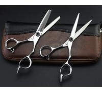 Professional Hair Cutting Shears, 6inch Japan 440C Hairdressing Scissors Cutting Scissors Thinning Shears Professional Hair Shears (Color : Set add Bag) (Set Add Bag)