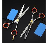 Professional Hair Cutting Shears, 6INCH Professional 440c Steel Cut Scissor gem Hair Scissors Haircut thinning Barber Cutting Shears Hairdressing Scissors (Color : Set with Bag) (Set with B