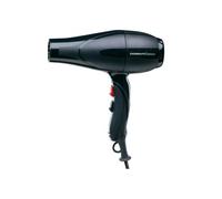 Professional Hair Dryer 2001R