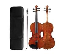 Professional Handcraft Advanced Fiddle 4/4 Violin Back Violino Bow Case Kit
