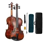 Professional Handmade Violin Set 4/4 Wood Spruce Back Flamed Maple Violin With Case (Color : 02)
