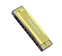 Professional Harmonicas 10-hole Blues Harmonica Portable Harmonica Musical Instrument Christmas Gift (Color : 03)