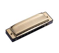 Professional Harmonicas 10-hole C Harmonica Diatonic Beginner Adult Students Practice Playing The Harmonica Instrument (Color : 01)