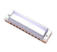 Professional Harmonicas 10-hole C Key Harmonica Adult Playing Typle Pocket Musical Instrument With Case (Color : 01)