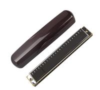 Professional Harmonicas 24 Holes C Key Harmonica Professional Tremolo Harmonica Harp With Case Durable Portable (Color : C)
