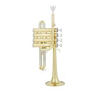 Professional High Trumpet Bb Piccolo Trumpet Brass Gold Silver Lacquer Surface Trumpet (Color : Gold)