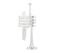 Professional High Trumpet Bb Piccolo Trumpet Brass Gold Silver Lacquer Surface Trumpet (Color : Silver)