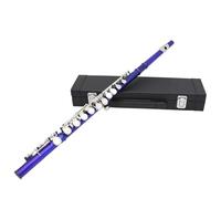 Professional Horizontal Flute with Bag Cleaning Cloth Stick 16-hole C Tone Closed Hole for School Band Instruments Professional Horizontal with Bag Cleaning Cloth Stick