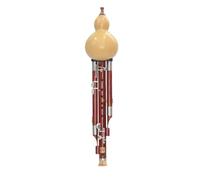 Professional Hulusi Seven Hole Plus 5 Key Hulusi Instrument Professional Performance Type B Flat C Tune Wide Range(Type 4)