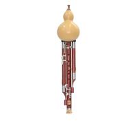 Professional Hulusi Seven Hole Plus 5 Key Hulusi Instrument Professional Performance Type B Flat C Tune Wide Range(Type 5)