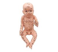 Professional Infant Acupuncture Model Baby-sitter Anatomy Sculpture for Teaching and Practice, Child-FriendlyMaterial, Realistic Body with Movable Head, Arms, and Legs