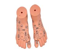 Professional Infant Massage Training Model with Marked Acupoints Points for Nursing Education and Home Care PVC Massage Practice Model