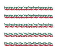 Professional Iran National Symbol Lapel Pin with Epoxy Finish for Official Occasions Iran Flag Pin
