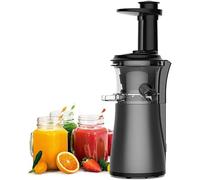 Professional Juicer Machine with Quiet Motor - Slow Masticating Juicers Whole Fruit and Vegetable, Professional Cold Press Juicer Extractor - Reverse Function with Brush