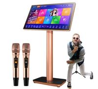 Professional Karaoke Machine,19.5/22 Inch Capacitive Touch Screen,Cloud Song Update, Wireless Mic KTV Player Fit for Bar Home Party,22inch-4TB