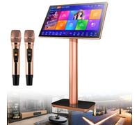 Professional Karaoke Machine with Wireless Microphones and Touch Screen for Home Parties and Online Entertainment