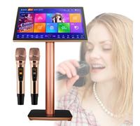 Professional Karaoke System with Capacitive Touch Screen, Wireless Microphones, and 1.1 Million Cloud Download Songs for Home, Bar, and Party Entertainment