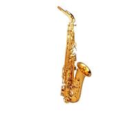 Professional-level Alto Saxophone E-flat Tuning Professional Performance