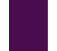Professional Lined Journal, 10.5X7.5 inches, Purple
