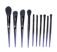 Professional Makeup Brush Set, Soft Synthetic Hair Eyeshadow and Blush Brushes, Portable Cosmetic Tool Kit for Beginners and Artists, 10 Pieces