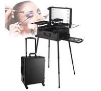 Professional Makeup Case,Rolling Cosmetic Organizer,with LED Light/Bluetooth, for Studio and Travel (Silver)
