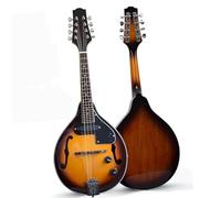 Professional Mandoline Instrument Beginner's Full Set Of All-single Electric Mandolin Eight-string Mandolin(M60)