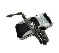 Professional Matte Black Nickel Alto Saxophone With Case Beginner Saxophone