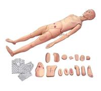 Professional Multi-Functional Human Anatomical Model for Geriatric Training, Patient Care Skills, and CPR Simulation with Interchangeable Genitals, Ideal for Medical Education and Training