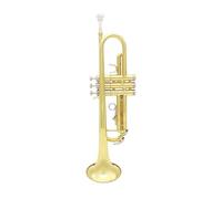Professional Musical Bb Trumpet B Flat Brass Material Trompeta Wind Instrument With Mouthpiece Case Accessories(Color:Gold)