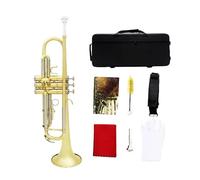 Professional Musical Trumpet Bb B Flat Brass Material Trompeta Wind Instrument With Mouthpiece Case Accessories (Color : Gold silver)